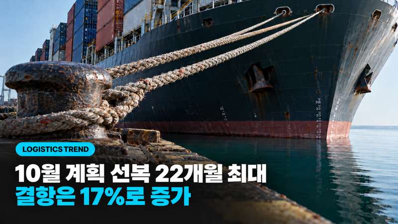 10월 유럽향 계획 선복은 22개월 최대인데 결항은 17%로 늘었다